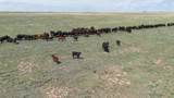  Baskin Ranch &plusmn;3,142.65Ac - Photo 88