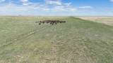  Baskin Ranch &plusmn;3,142.65Ac - Photo 89