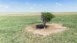  Baskin Ranch &plusmn;3,142.65Ac - Photo 92