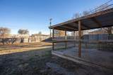 1231 Pecan Street - Photo 19