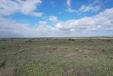  237.5 Acres Cottle County - Photo 12
