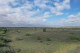  237.5 Acres Cottle County - Photo 2