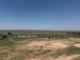 TBD County Road 3 - Photo 11