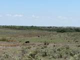 TBD County Road 3 - Photo 14