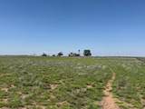 TBD County Road 3 - Photo 16