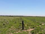 TBD County Road 3 - Photo 18