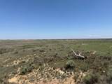 TBD County Road 3 - Photo 25