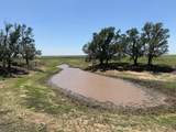 TBD County Road 3 - Photo 26