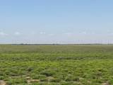 TBD County Road 3 - Photo 3