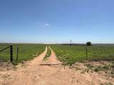 TBD County Road 3 - Photo 30