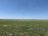 TBD County Road 3 - Photo 32