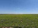 TBD County Road 3 - Photo 37
