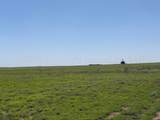 TBD County Road 3 - Photo 38