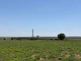 TBD County Road 3 - Photo 39