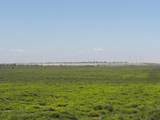 TBD County Road 3 - Photo 4