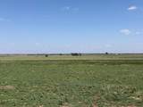 TBD County Road 3 - Photo 40