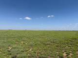 TBD County Road 3 - Photo 42
