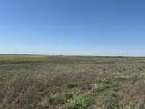 TBD County Road 3 - Photo 43