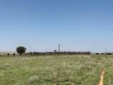 TBD County Road 3 - Photo 46