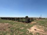 TBD County Road 3 - Photo 47