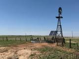 TBD County Road 3 - Photo 48