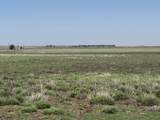 TBD County Road 3 - Photo 5