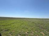 TBD County Road 3 - Photo 50