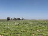 TBD County Road 3 - Photo 6