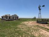TBD County Road 3 - Photo 9