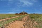 13633 Ariana Road - Photo 43