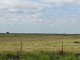 15450 Farm To Market Road 2103 - Photo 7