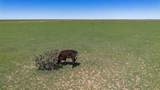  Wise Ranch &plusmn;2,345.59 Acres - Photo 38