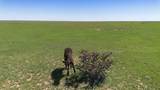  Wise Ranch &plusmn;2,345.59 Acres - Photo 39