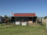 403 Grace Street - Photo 3