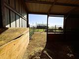 403 Grace Street - Photo 8