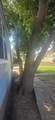 116 Ozmer Street - Photo 4