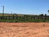 72.8 acres Hwy 256 - Photo 3