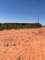 72.8 acres Hwy 256 - Photo 4