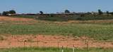 72.8 acres Hwy 256 - Photo 5