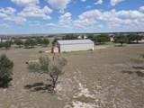 6010 Pavillard Drive - Photo 16