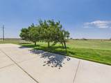 9151 Bridle Trails Drive - Photo 48
