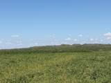 15400 County Road I - Photo 35