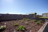 9900 Cassidy Drive - Photo 45