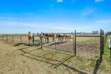 14480 Fm 1062 - Photo 30