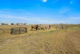 14480 Fm 1062 - Photo 34