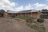 12170 County Road 9 - Photo 2