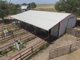 12170 County Road 9 - Photo 37