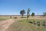 11401 Anderson Road - Photo 36