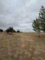 509 Yucca Drive - Photo 8