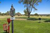 164 Dolphin Terrace - Photo 50